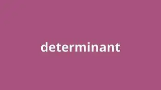 what is the meaning of determinant