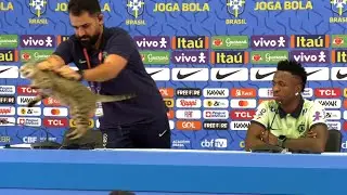 CRAZY moment a CAT interrupts Vinicius Jrs press conference! Press officer YEETS it!