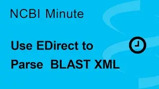 The NCBI Minute: Use EDirect to Parse BLAST XML