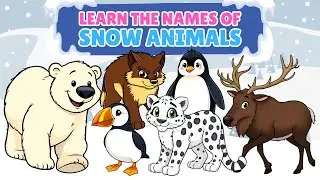 Learn the Names of Snow Animals in English | Fun English Vocabulary for Kids!
