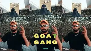 BODMAS - GOAT GANG (Meh Meh) [Full Official Audio]