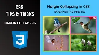 CSS Margin Collapsing: A Concise 2-Minute Explanation | CSS Tips & Tricks