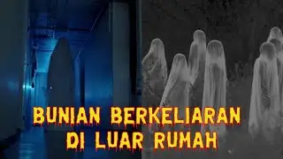 BUNIAN BERKELIARAN DI LUAR RUMAH |  EPISOD 87