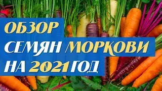 Обзор семян моркови на 2021 год