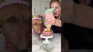 it’s Tilly’s birthday today which means this incredible recipe for dog birthday cake is happening.