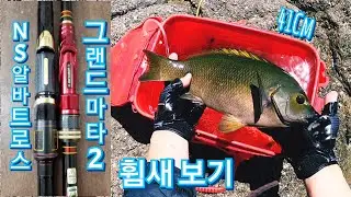 Big Opaleye Fishing With Korea's Best Fishing Rod