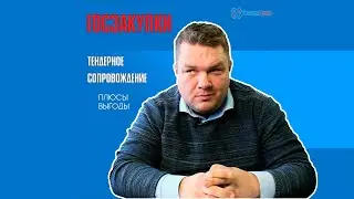 Тендерное сопровождение. В чем плюсы и что предлагаем?