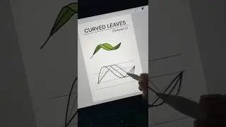 How to draw Curved Leaf step by step | Easy Leaf drawing tutorial #drawingtutorial #short