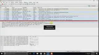 TCP Handshake & Password Sniffing using Wireshark