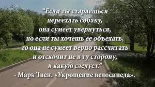 Укрощение велосипеда