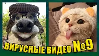 ВИРУСНЫЕ ВИДЕО / Подборка смешные моменты №9