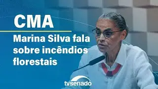 Comissão de Meio Ambiente ouve ministra Marina Silva sobre queimadas – 4/9/24