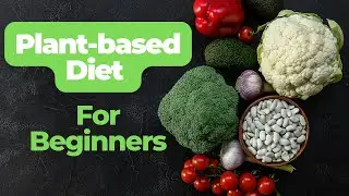 Plant based diet for beginners