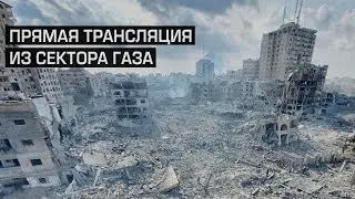 Сектор Газа. Прямая трансляция.