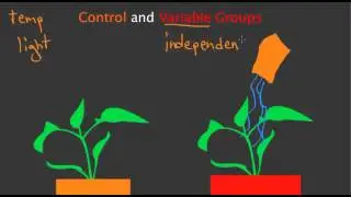 Control and Variable Groups