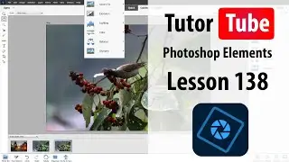 Photoshop Elements Tutorial - Lesson 138 - Refine Edge Tool