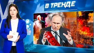 Внимание! Путин готовится: Сгорят все НПЗ! Выборы губернаторов. Шаман без денег. Курск! | В ТРЕНДЕ