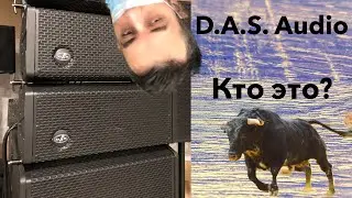 Линейный массив D.A.S Audio - цена, качество, звучание...