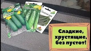 Топ-3 самых вкуснейших сортов салатных огурцов! 🔥🥒Обзор семян огурцов на 2022 год😍