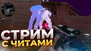 🔴СТРИМ С ЧИТАМИ CS 2 //  ОБХОДИМ VAC 3.0