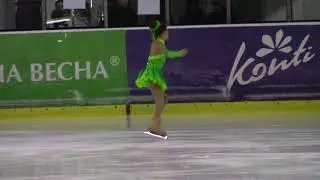 Лукина Александра Kharkov Amatour Open Cup Ladies 2009 2010 Б FS