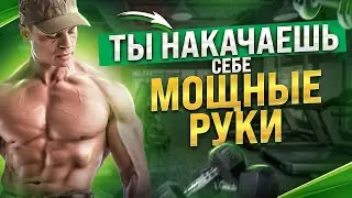 КАК НАКАЧАТЬ МОЩНЫЕ РУКИ В ТРЕНАЖЁРНОМ ЗАЛЕ ИЛИ ДОМА?