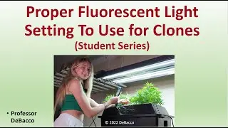 Proper Fluorescent Light Setting To Use for Clones (Student Series)