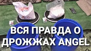 ТАКОГО Я ОТ НИХ НЕ ОЖИДАЛ ! Вся правда о дрожжах ANGEL и перегон браги на самогонном аппарате ЯСТРЕБ