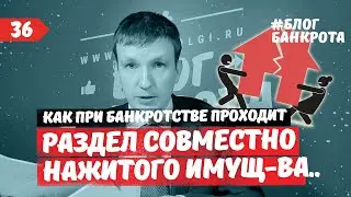 Раздел совместно нажитого имущества супругов при банкротстве. Блог Банкрота. Выпуск 36.