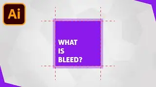 Bleed In Adobe Illustrator | Everything You Need To Know