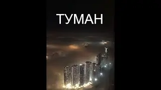 Москву накрыл плотный туман