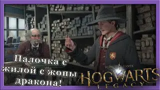 Hogwarts Legacy - [3] Палочка с жилой с жопы дракона!