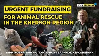Команда Visit Ukraine організовує терміновий збір на підтримку постраждалим тваринам