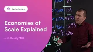 Economies of Scale Explained With Examples!