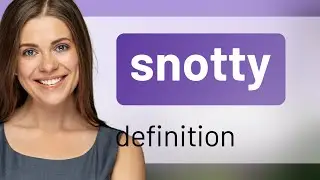 Snotty • definition of SNOTTY