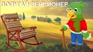 ПОПУГАЙ ПЕНСИОНЕР - Уход, содержание старых попугаев +  митинг