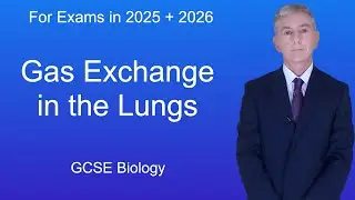 GCSE Biology Revision "Gas Exchange in the Lungs"