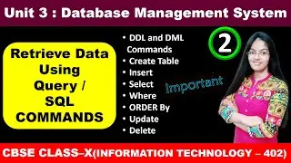 Retrieve Data Using Query | SQL Commands | Class 10 Database Management System