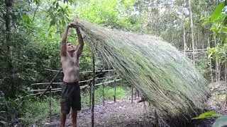 Primitive Technology NEW : Grass thatch, Mud hut