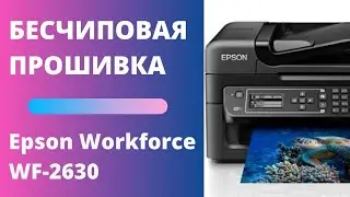 Бесчиповая прошивка Epson Workforce WF-2630 | Видеоинструкция