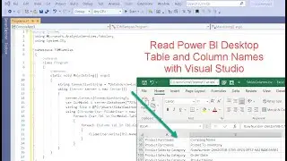 Read Table and Column names from Power BI Desktop with Visual Studio