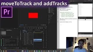 Premiere Scripting Tutorial: moveToTrack and addTracks