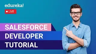 Salesforce Developer Tutorial in 60 Minutes  | Salesforce Training Videos | Edureka Live