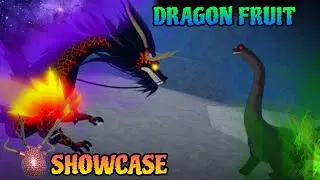 Dragon Fruit SHOWCASE | King Legacy