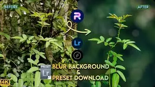 Transform your photos with expert blur background editing | Download free Lightroom preset