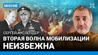 Вторая волна мобилизации неизбежна — Ауслендер