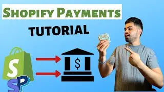 The Best Way To Set Up Shopify Payments (Simple Method) | SHOPIFY DROPSHIPPING