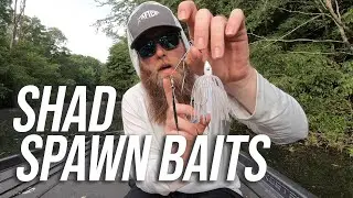 TOP 5 Baits for Bass Fishing the SHAD Spawn