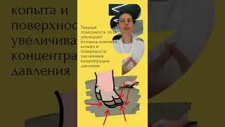 Какой пол для коровника выбрать/Резиновый или бетонный? #english #farm  #kazakhstan #animalwelfare