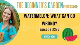 Watermelons: What Can Go Wrong?